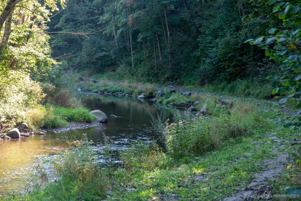 Gandingos piliakalnis