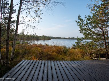 Kamanų rezervato mokomasis takas