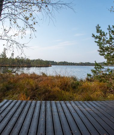 Kamanų rezervato mokomasis takas