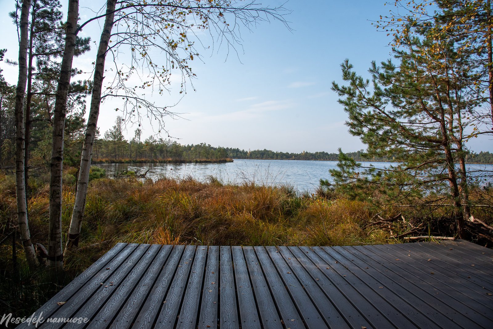 Kamanų rezervato mokomasis takas