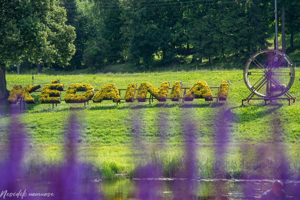 Kėdainiai