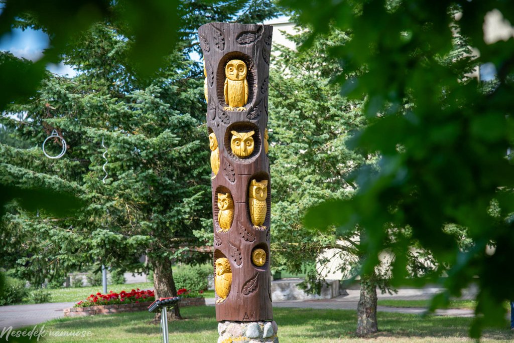 Pelėdnagiai