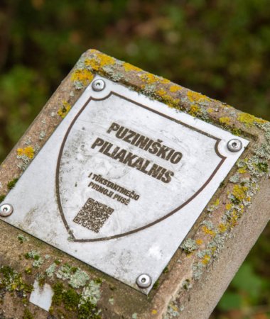 Puziniškio piliakalnis