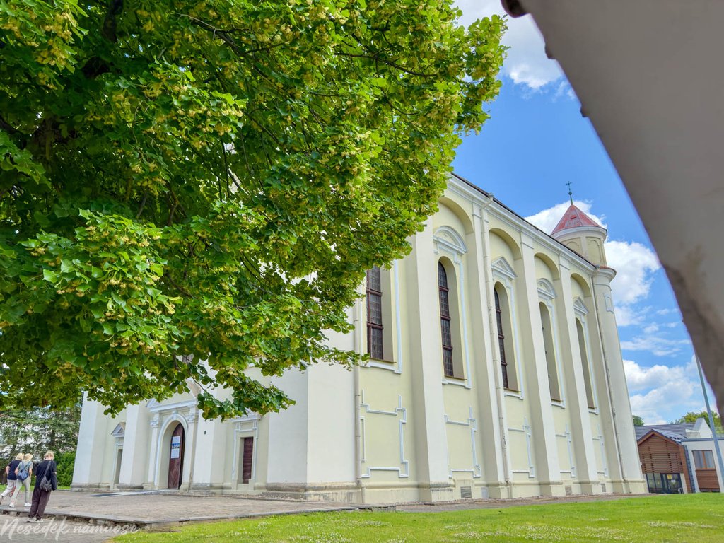Pas bitininką
