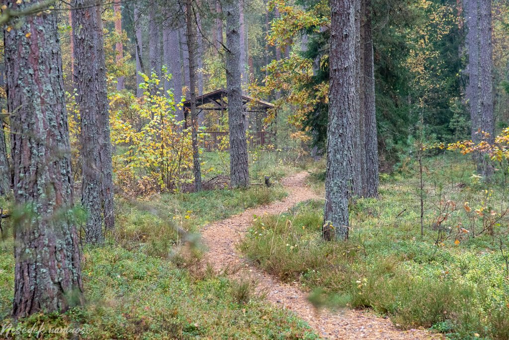 Sakiškių parkeliai