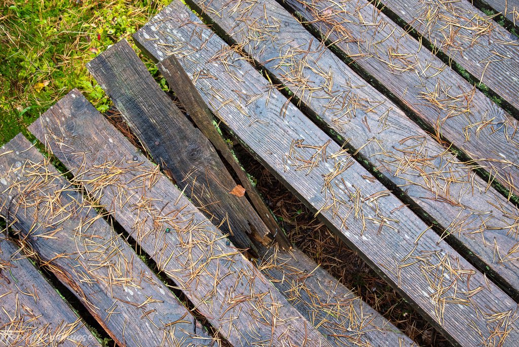 Sakiškių parkeliai