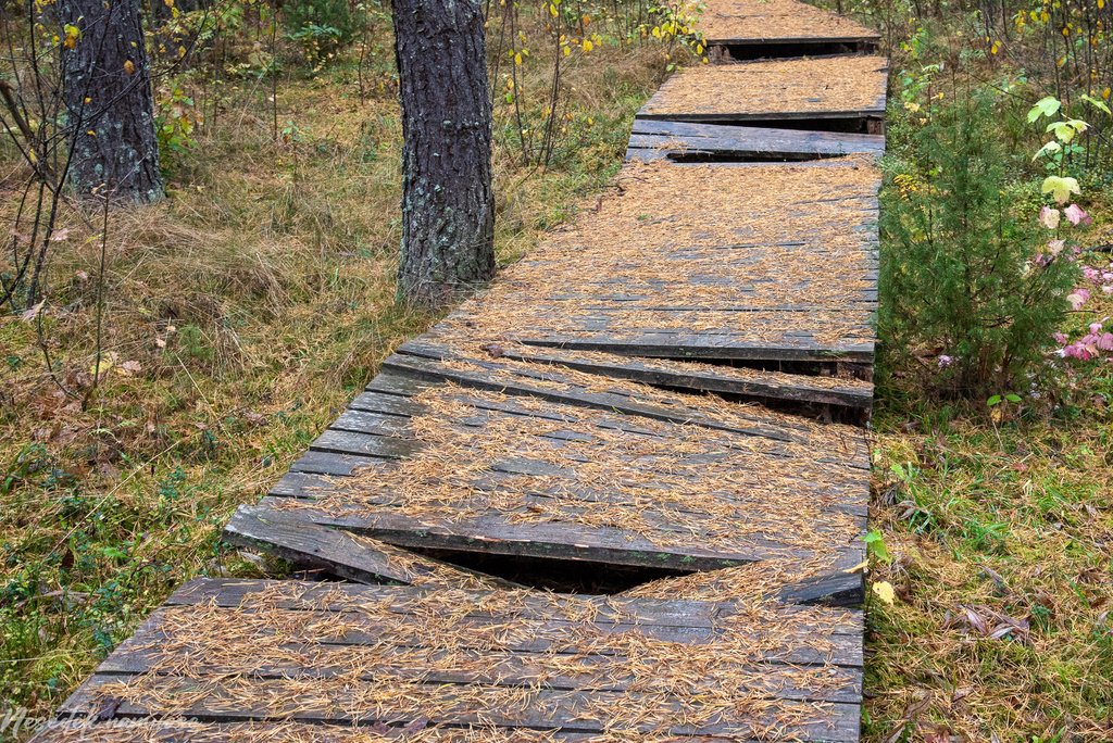 Sakiškių parkeliai