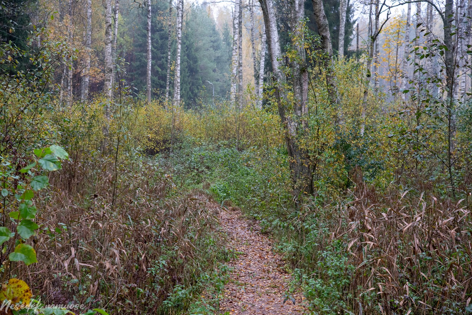 Sakiškių parkeliai