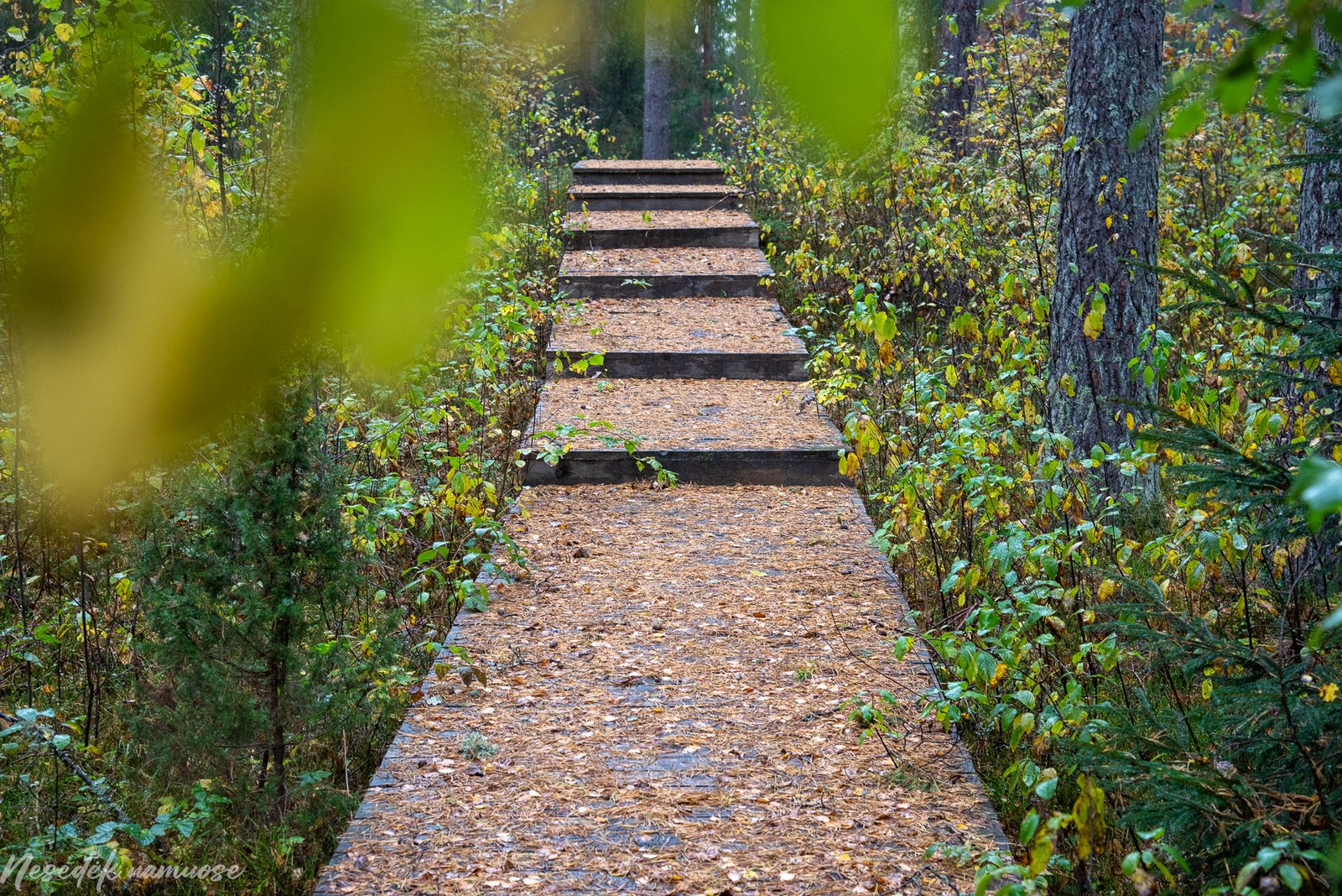 Sakiškių parkeliai