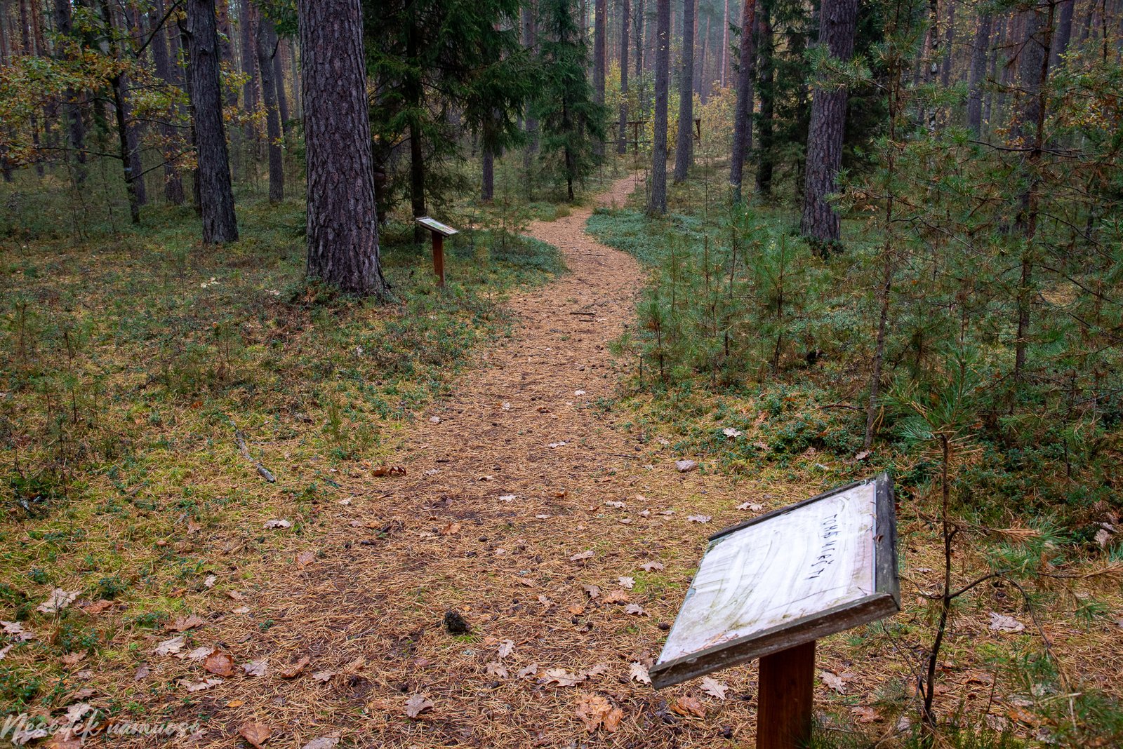 Sakiškių parkeliai