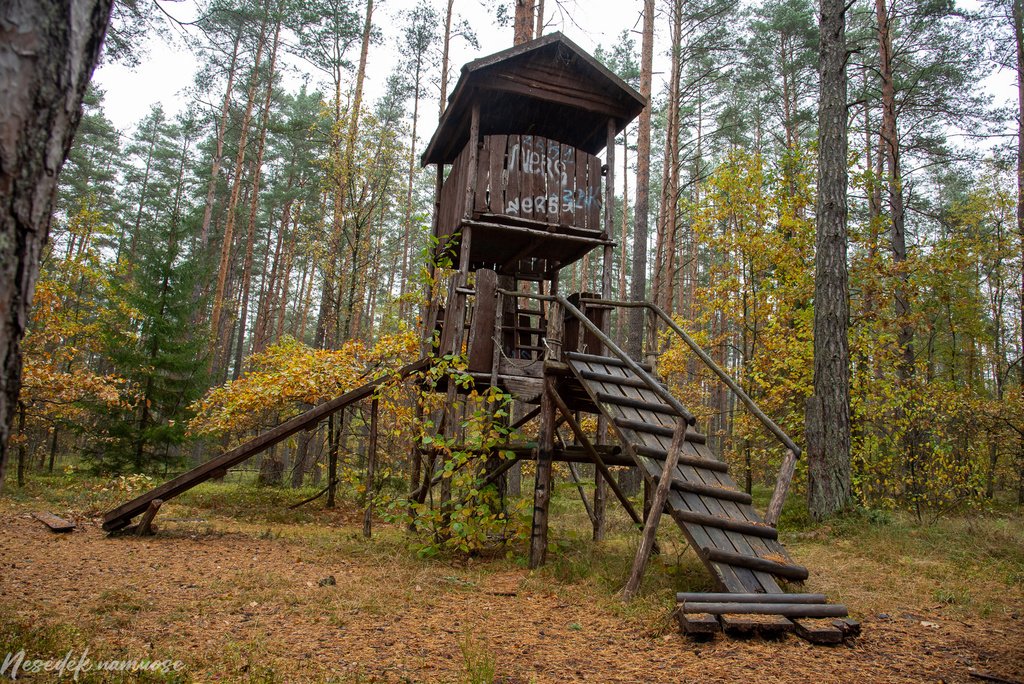 Sakiškių parkeliai