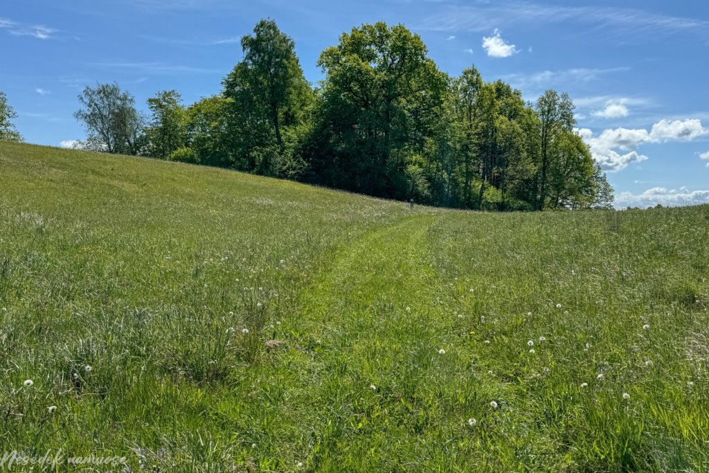Šarnelės piliakalnis