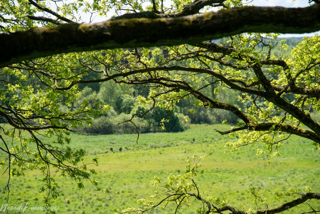 Šarnelės piliakalnis