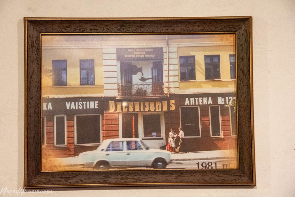 Valerijono vaistinė arbatinė