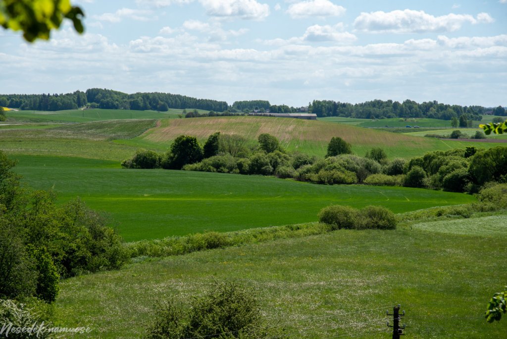 Žemaičių Kalvarijos piliakalnis