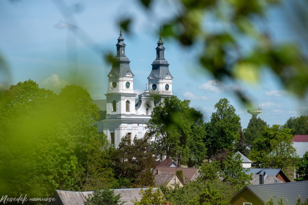 Žemaičių Kalvarijos piliakalnis